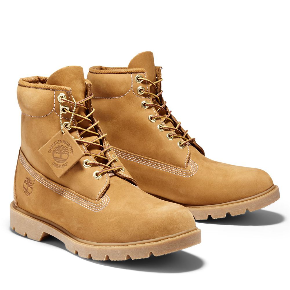 Botas de Nieve Timberland Hombre 6-Inch Basic Waterproof Marrones - Chile LSJ-412860
